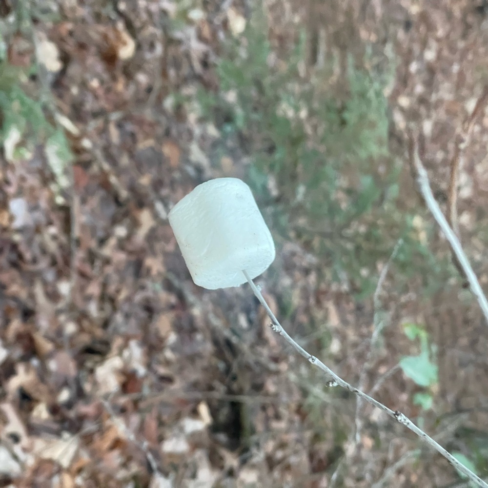 Pre roasted marshmallow